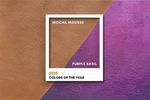 The Shades of 2025